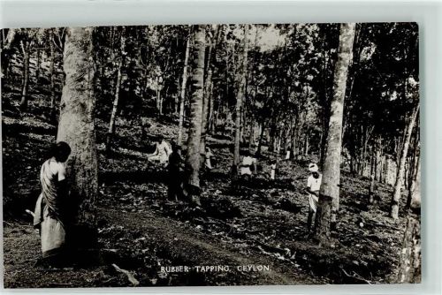 Rubber Tapping Landwirtschaft Gummi Gewinnung Beruf