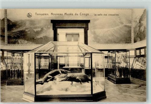 Tervuren Nouveau Musee du Congo - La salle des crokodiles