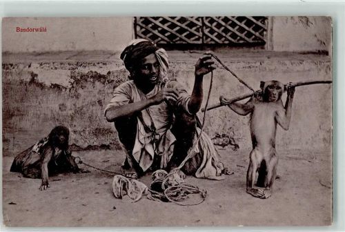 Affentrainer Indien