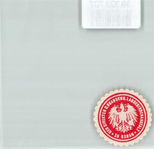 Sorau Irrenanstalt der Direktor d. Brandenb. Landesirrenanstalt zu Sorau