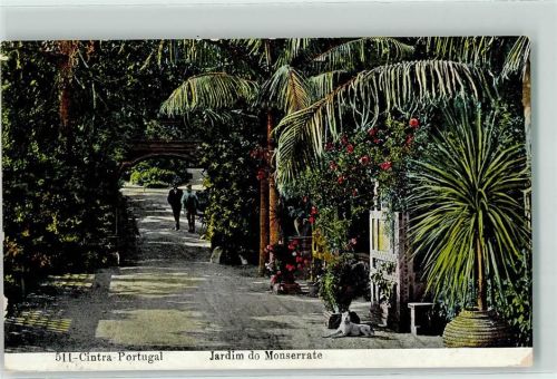 Cintra Jardimdo Monserrate Blumen Palme Männer