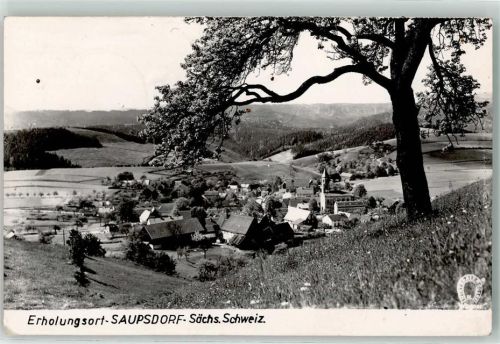 Saupsdorf Baumblüte
