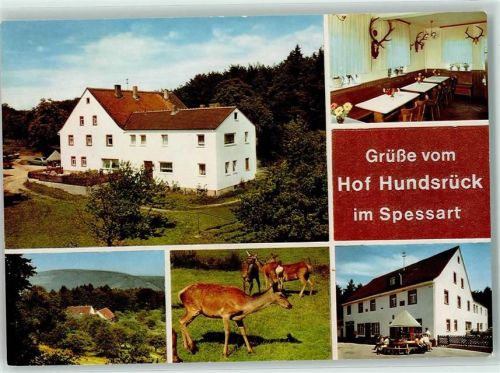 Eschau Hof Hundsrück Gaststube Rehe