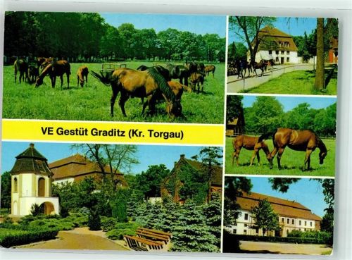 Graditz VE Gestüt Pferde