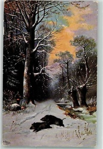 1906 Wildschweine