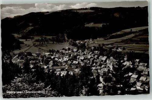 Steinwiesen