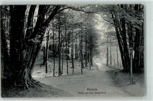 Malente Brahmberg Waldweg
