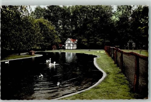Rheine Tiergarten Enten-Teich