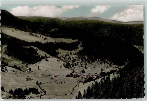 Menzenschwand mit Blick auf Feldberg