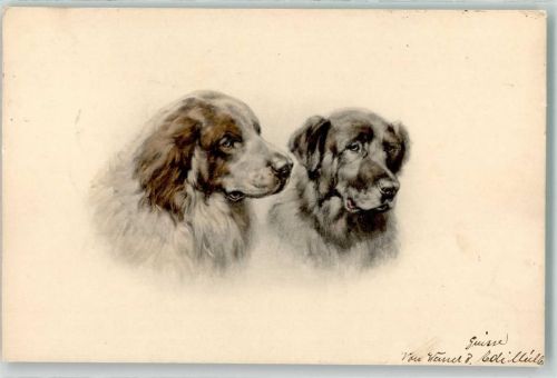 1905 Kangal