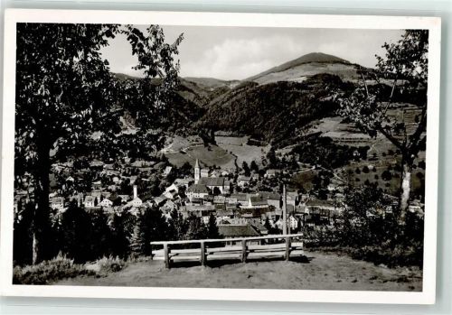 Zell