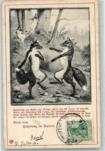 1908 Fuchstanz Taunus Frauen Geige