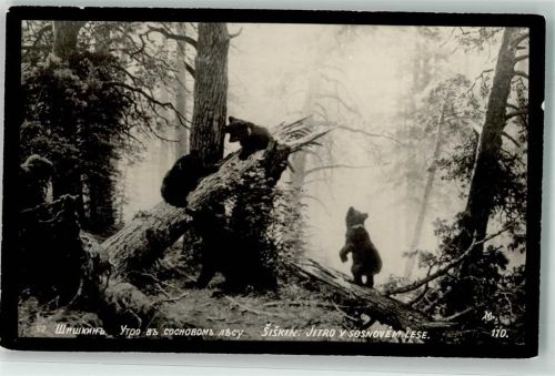 Foto Siskin Bären im Wald