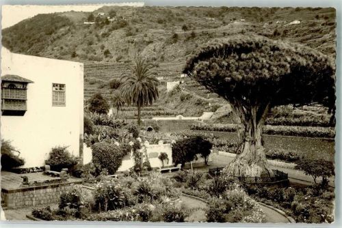 Icod de los Vinos 1956