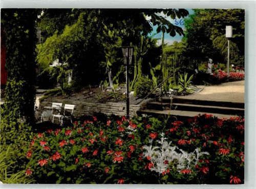 Bad Honnef Kurpak