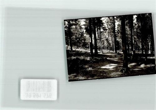 Burg Ort handschriftlich Foto Orginal aus Archiv eines Ansichtskartenverlags