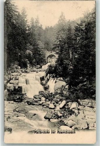 Raumünzach 1904 Fallbrücke