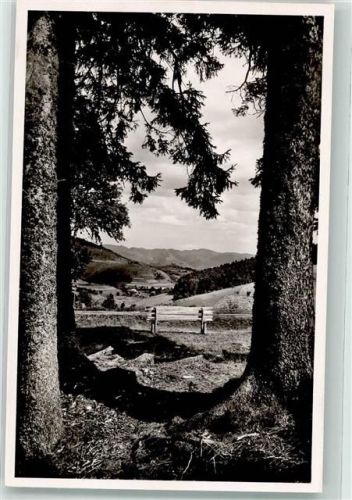 Neuenweg Gasthaus Haldenhof