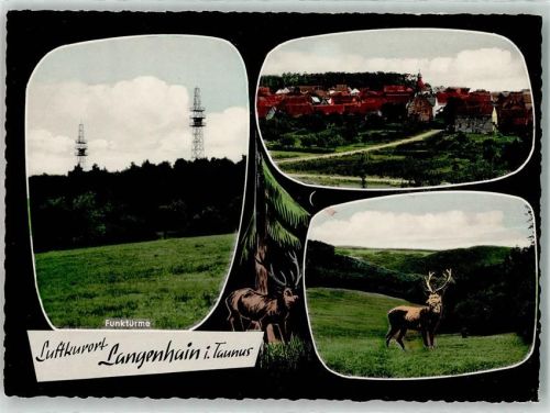 Langenhain Funktürme Hirsch Gasthaus Zum grünen Wald