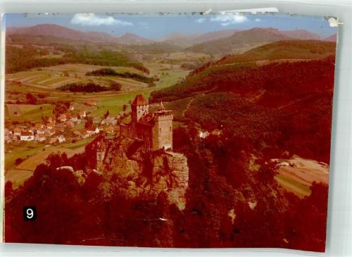 Erlenbach Fliegeraufnahme Burg Ort handschriftlich Foto Original aus Archiv eines Ansichtskartenverlags