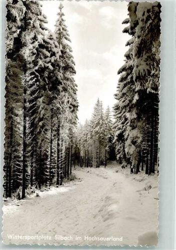 Silbach Wintersportplatz Hochsauerland Schnee Winter