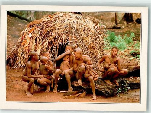 Yaounde Lobaye Pygmänenhütte Zentralafrika Lobaye Zentralafrika