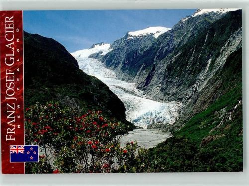 Franz Josef Glacier Schnee Blumen Westland