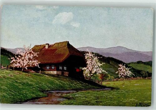 Einsames Schwarzwaldhaus an einem Bachlauf zwischen blühenden Bäumen Verlag Geschwister Moos Serie V No. 10