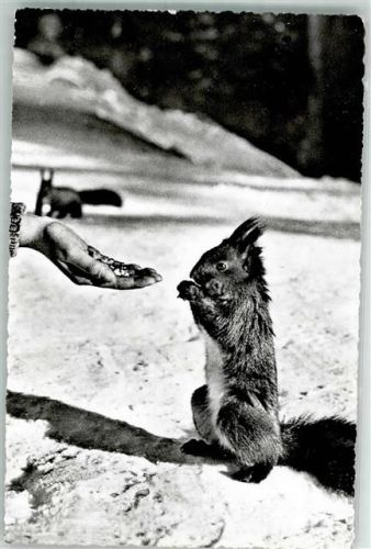 1957 Photo Glob-Wehrli 10602