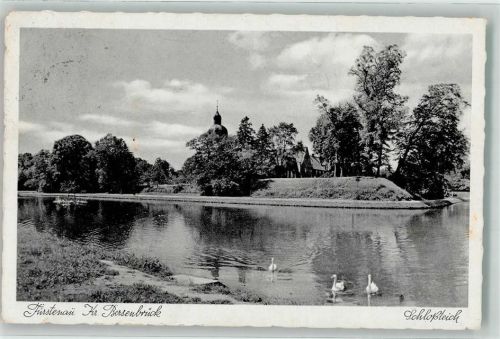 Fürstenau Schlossteich Schwam