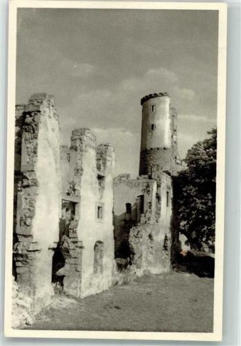 Mlada Boleslav Burg Ruine Zweretitz Bakow Spende