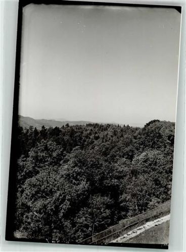 Sipplingen Haldenhof Foto Original aus Archiv eines Ansichtskartenverlags Ort handschriftlich
