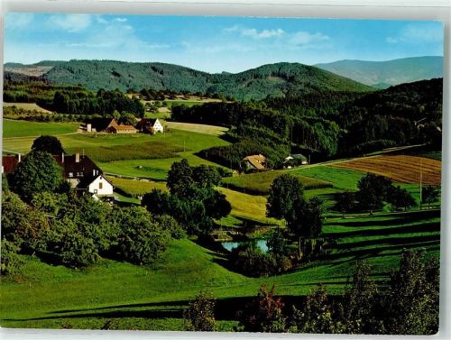 Freiamt Blick zum Kandel Südschwarzwald Ferienort Ausflugsziel