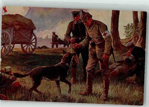 1917 Rotes Kreuz Soldaten sign. Roloff A. Ein treuer Helfer