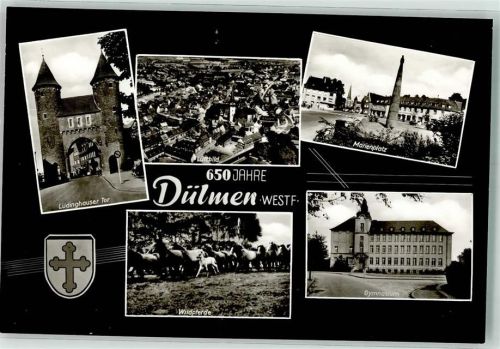 48249 W4408 Dülmen Foto AK 650 Jahre Lüdinghauser Tor Fliegeraufnahme Maarienplatz Gymnasium Wildpferde Wappen