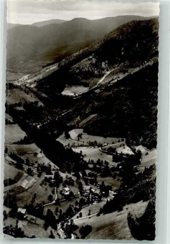 Wildgutach