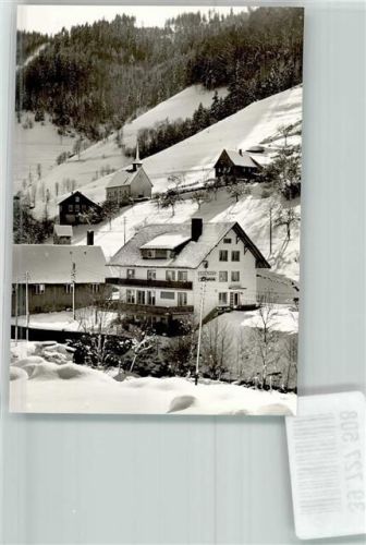 Wildgutach Gasthaus Löwen im Winter
