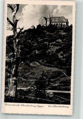31606 W3079 Schwalenberg Foto AK Burg