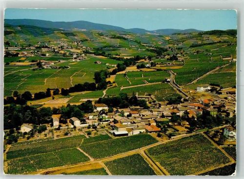 Fleurie Vogelschau