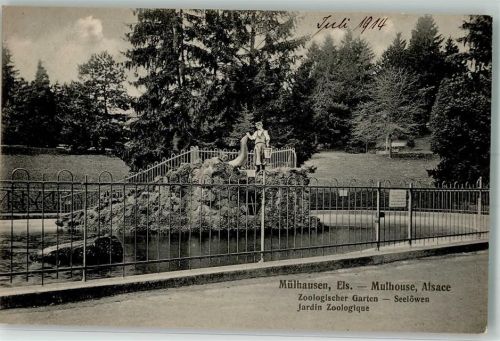 Mulhouse 1914 Seelöwen