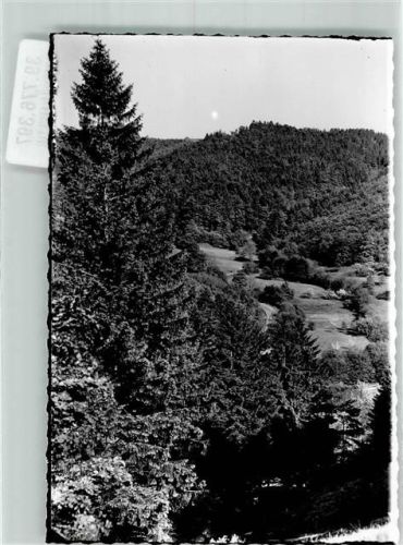 Eiershausen Schwarzbachtal Foto Original aus Archiv eines Ansichtskartenverlags Ort handschriftlich