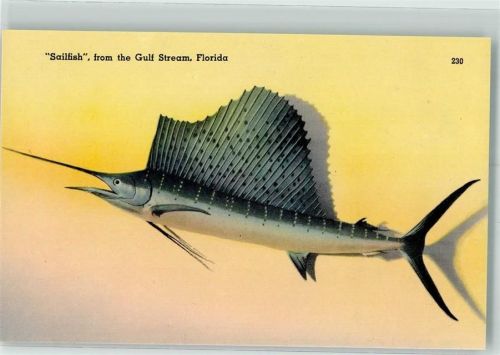 Segelfisch