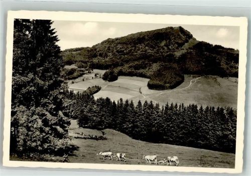 Milseburg Rhön Hüttenstempel