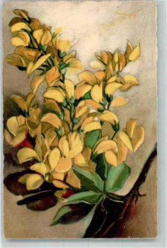 Alpenflora Nr. 322