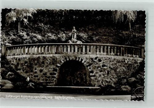 Frohnhausen Sauerbrunnen