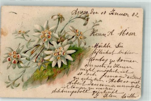 1902