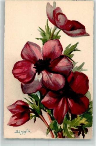 Nr. 204 Verlag Ballerini & Fratini Blumen