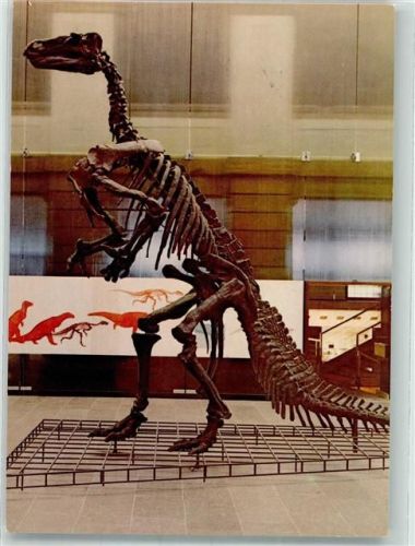 Frankfurt Iguanodon Naturmuseum Senckenberg