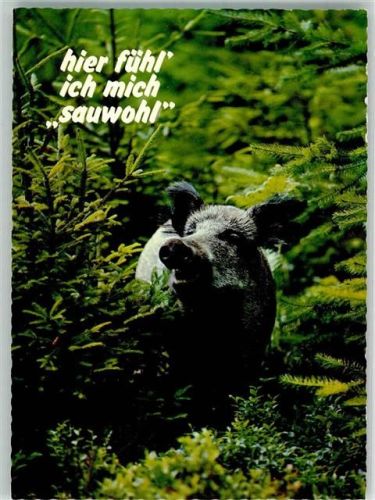 Huber Karte Nr.8527