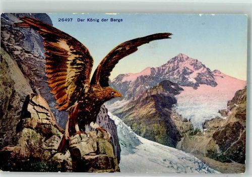 Adler Der König der Berge Verlag Wehrli Nr. 26497